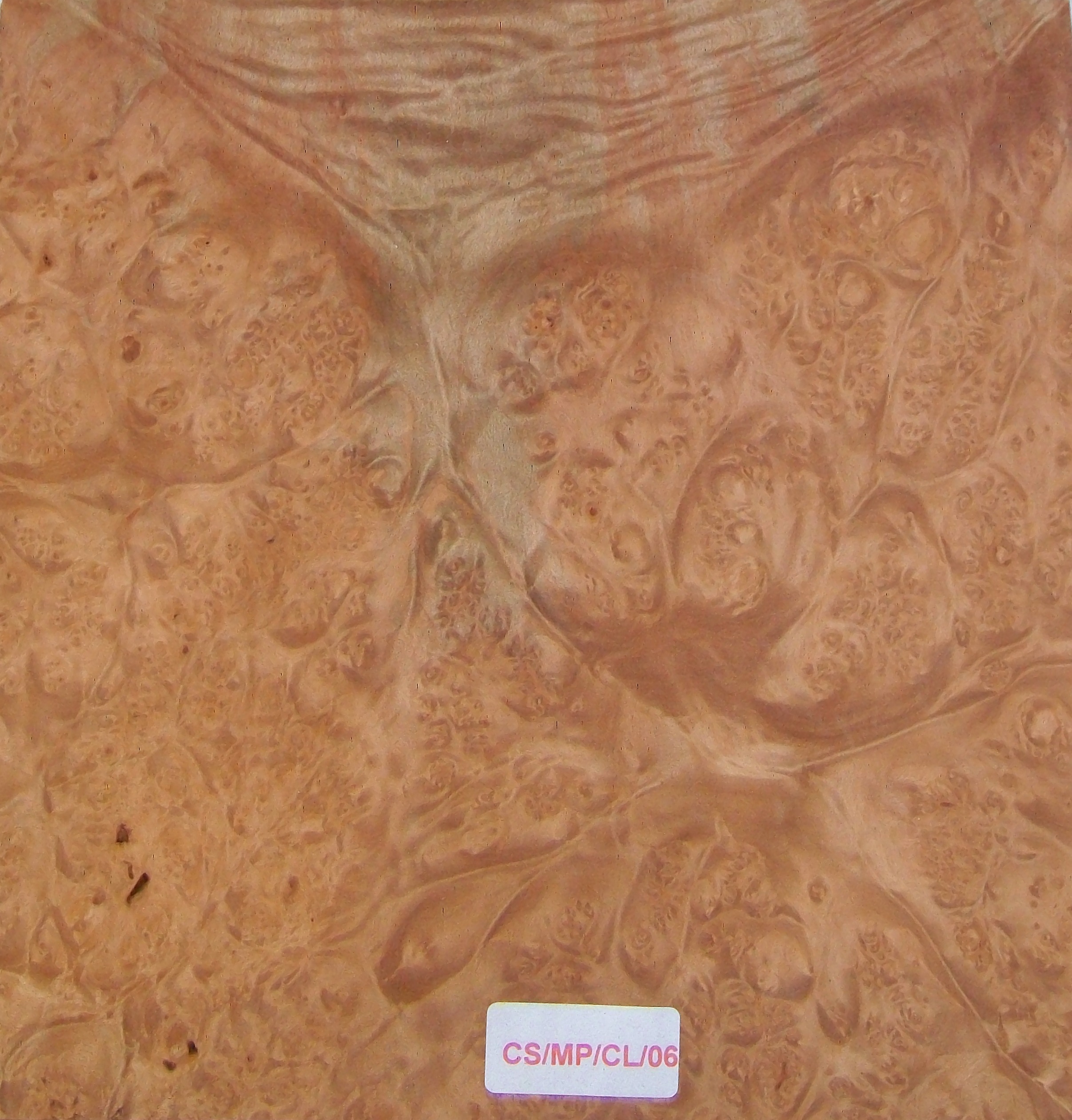 CLEARANCE SALE MAPLE BURR WOOD VENEER