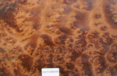 Thuya Burr wood veneer