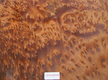 Thuya Burr wood veneer