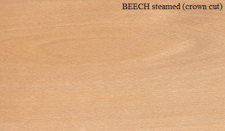 Steamed Beech Crown