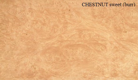 Chestnut Sweet Burr