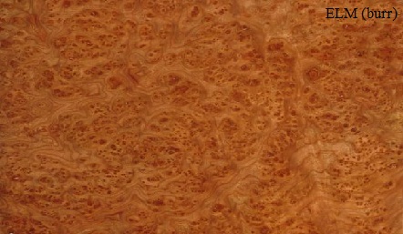 Elm European Burr Wood Veneer