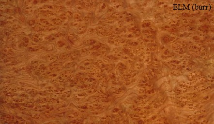 Elm European Burr Wood Veneer