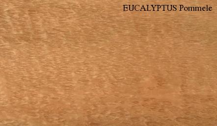 Eucalyptus Pommele Wood Veneer