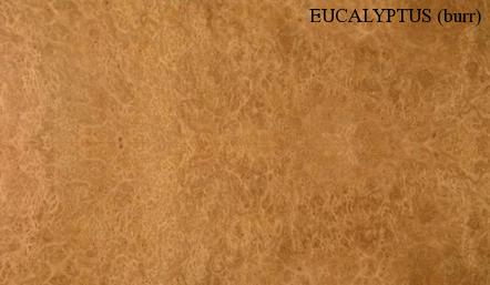 Eucalyptus Burr Wood Veneer