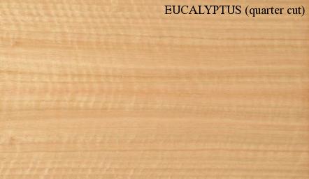 Eucalyptus Quartered Wood Veneer