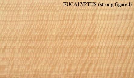 Eucalyptus Strong Figured Wood Veneer