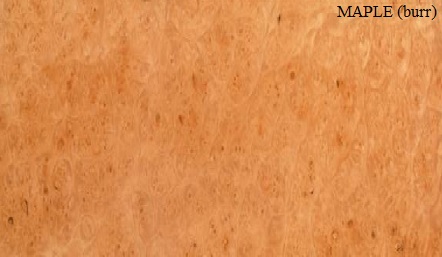 Burr Maple Wood Veneer