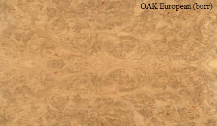Oak European Burr Wood Veneer