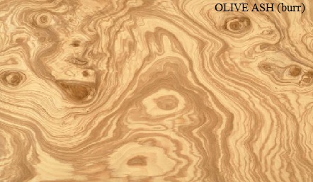 Olive Ash Burr