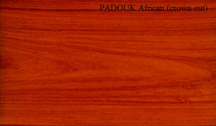 Padouk African Crown Wood Veneer