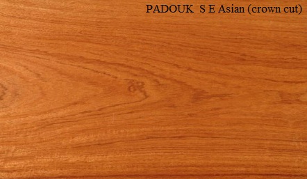 Padauk Asian Crown Wood Veneer