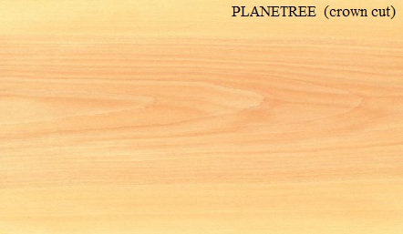 Planetree Crown Wood Veneer