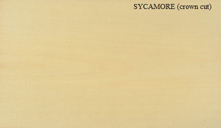 Sycamore crown wood veneer