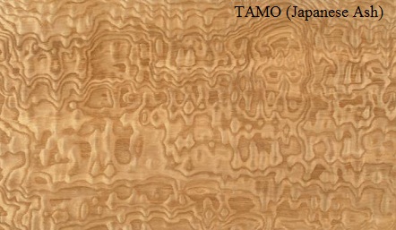 Tamo/Japanese Ash  Wood Veneer