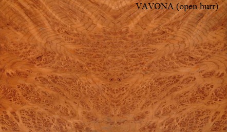 Vavona Open Burr Wood Veneer
