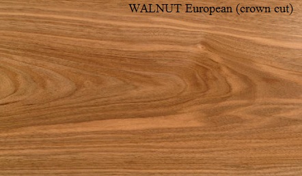 EUROPEAN WALNUT WOOD VENEER